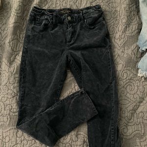 Velvet skinny pants